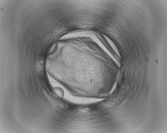 X0000087340263200705111555