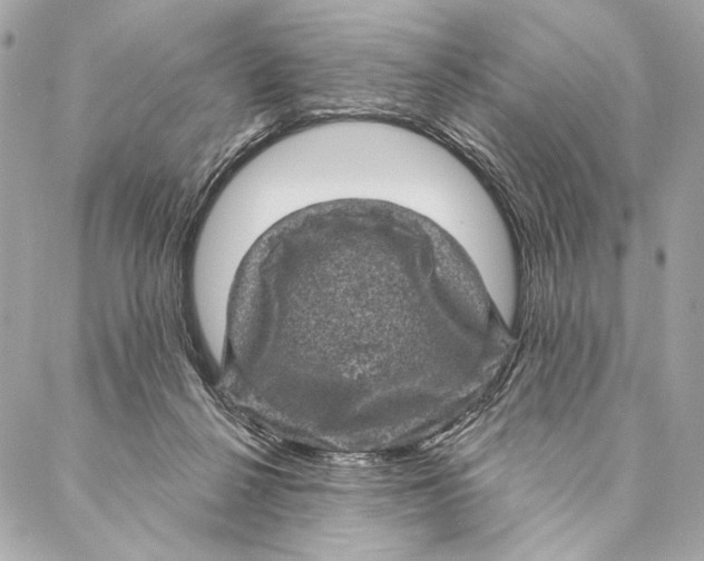 X0000087340264200705111555