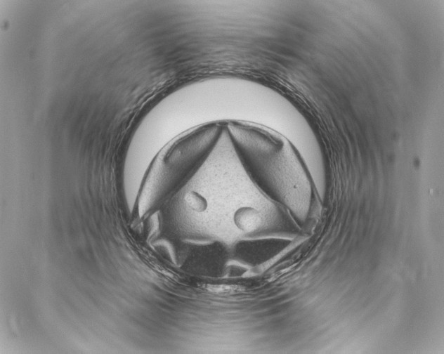 X0000087340268200705111555