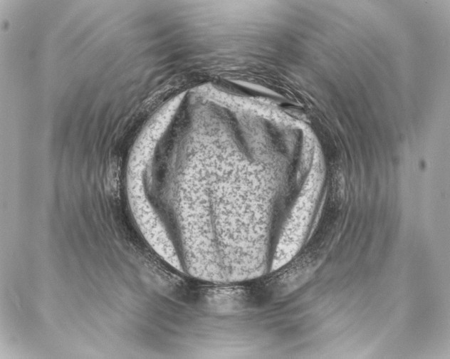 X0000087340274200705111555