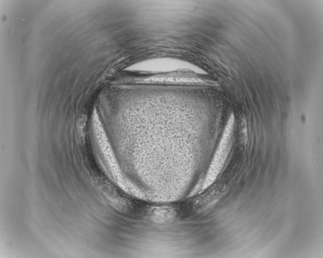 X0000087340275200705111555