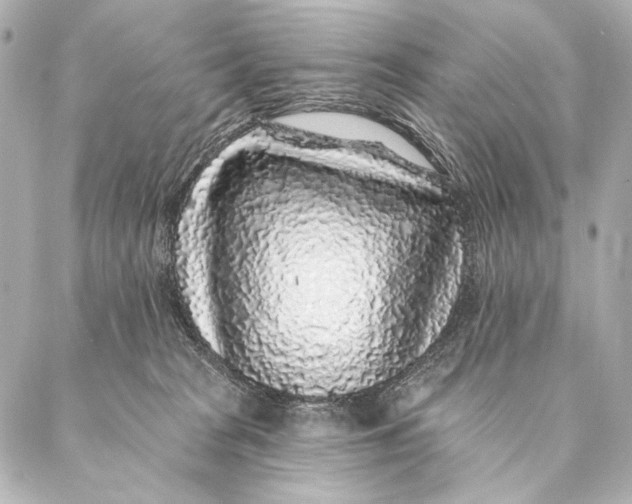 X0000087340277200705111555
