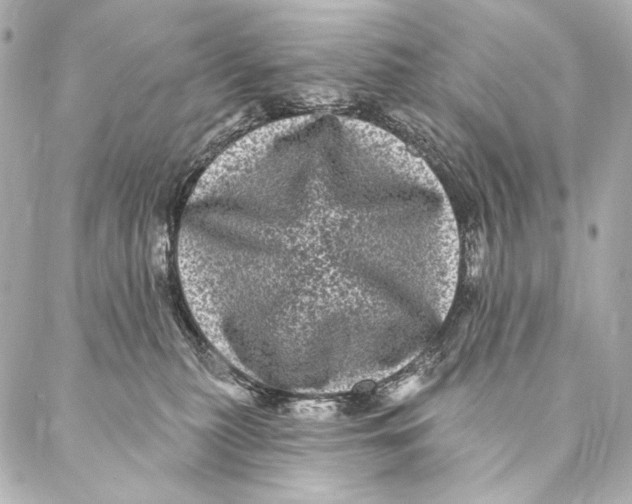 X0000087340279200705111555