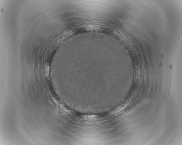 X0000087340281200705111555