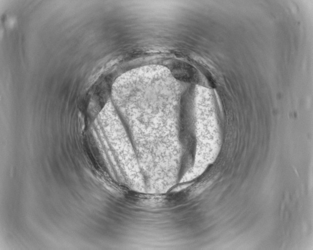 X0000087340288200705111555