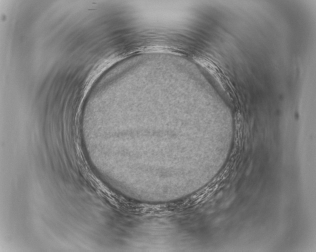X0000087340289200705111555