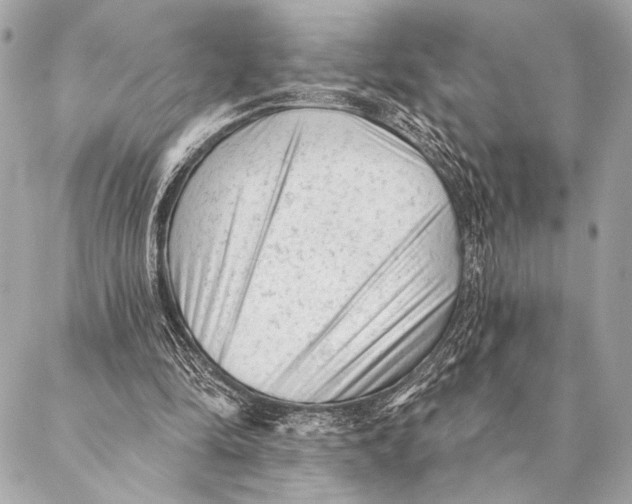 X0000087340294200705111555