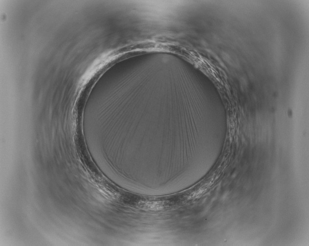 X0000087340295200705111555