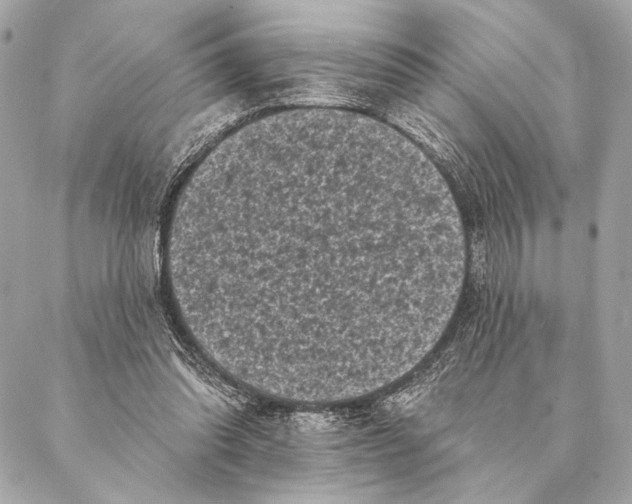 X0000087340302200705111554