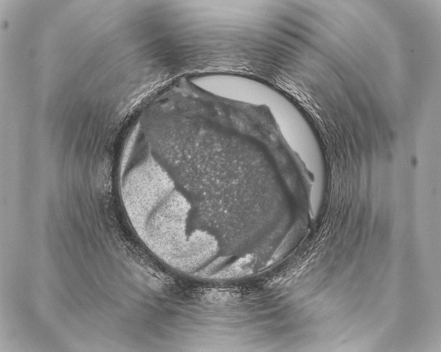 X0000087340303200705111554