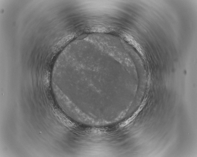 X0000087340305200705111554