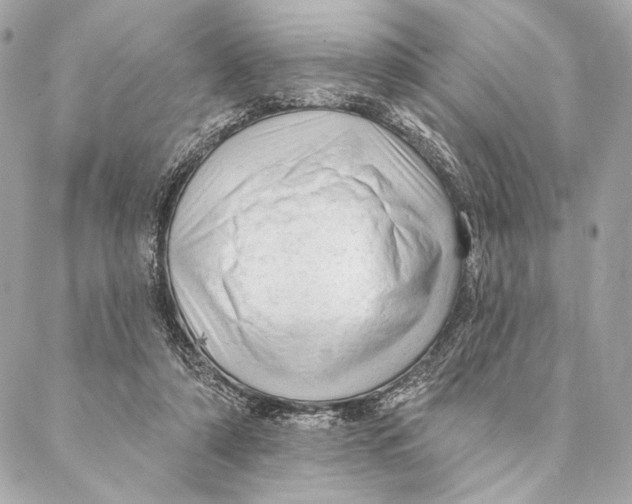 X0000087340306200705111554