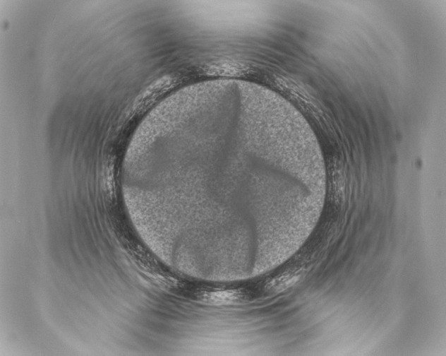 X0000087340312200705111554