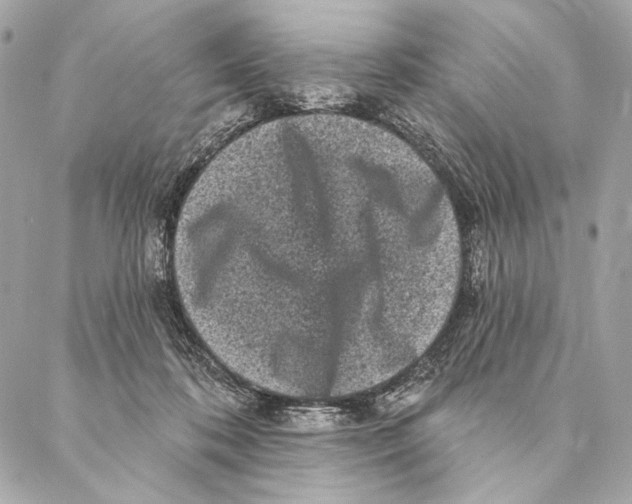 X0000087340316200705111554