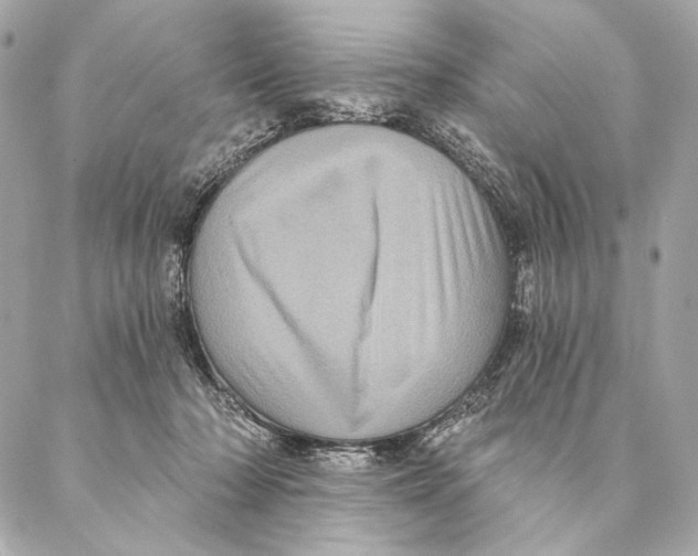 X0000087340318200705111554