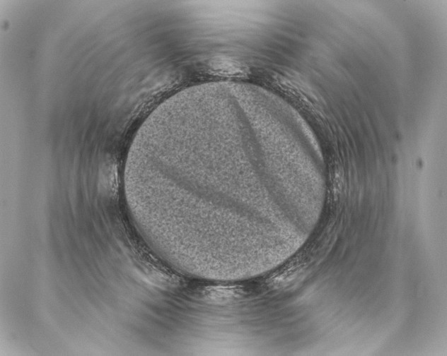 X0000087340320200705111554