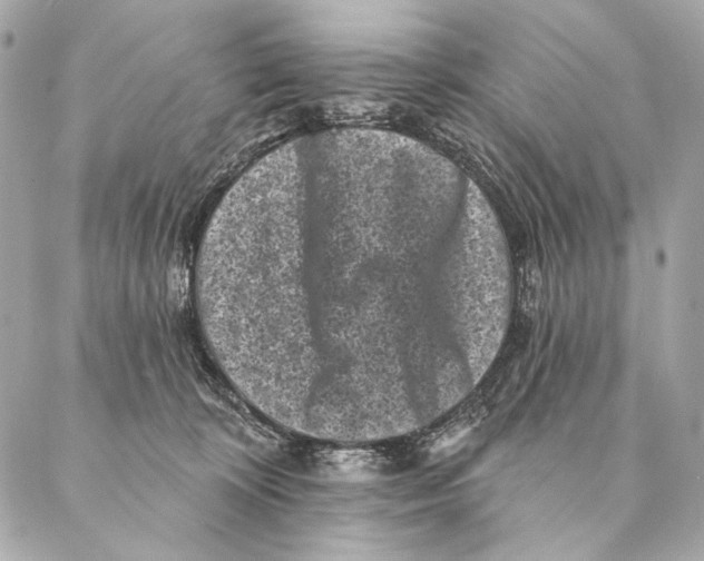 X0000087340324200705111554