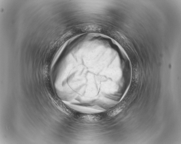 X0000087340326200705111554