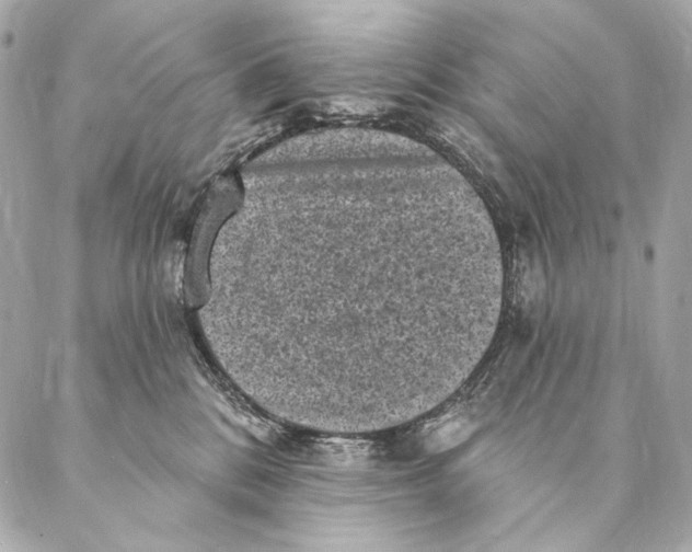 X0000087340328200705111554