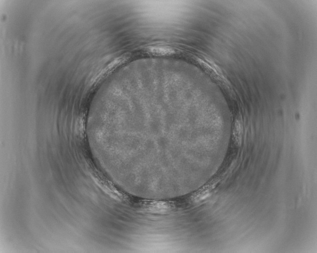 X0000087340330200705111554