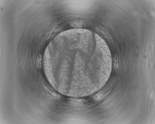 X0000087340332200705111554