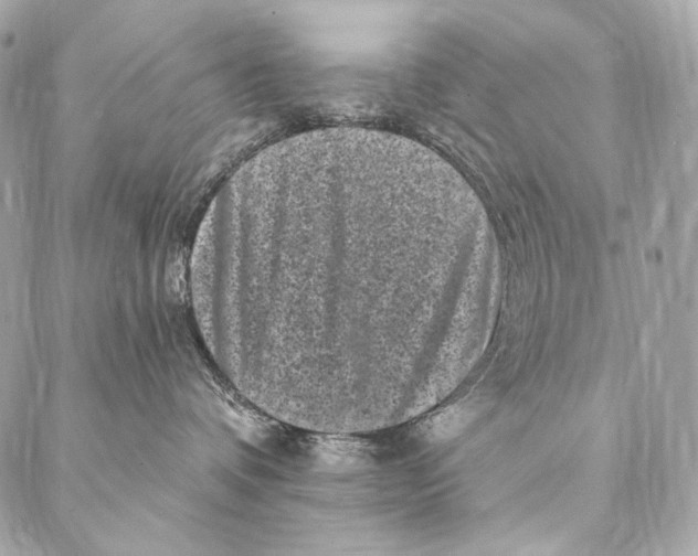 X0000087340336200705111554