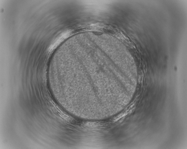 X0000087340341200705111553