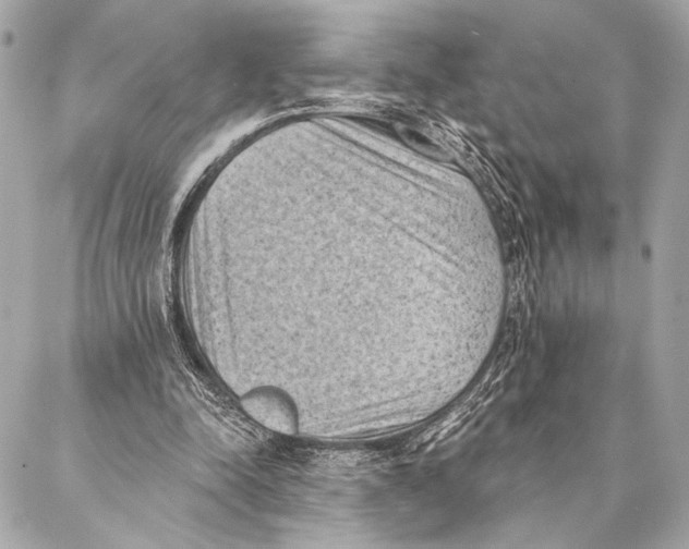 X0000087340342200705111553