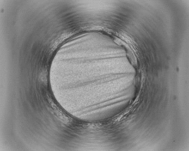 X0000087340345200705111553