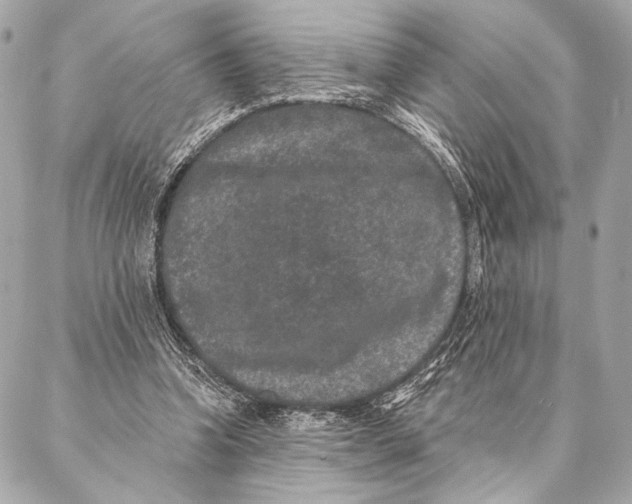 X0000087340346200705111553