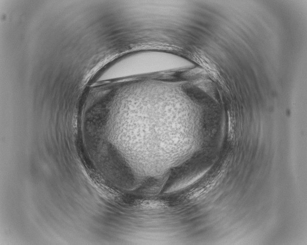 X0000087340348200705111553
