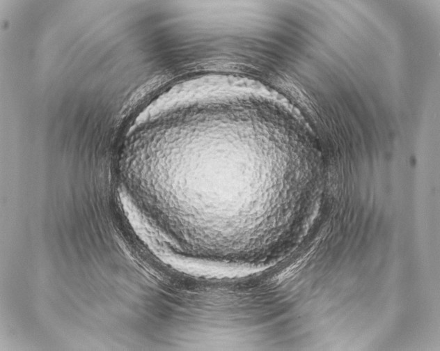 X0000087340349200705111553