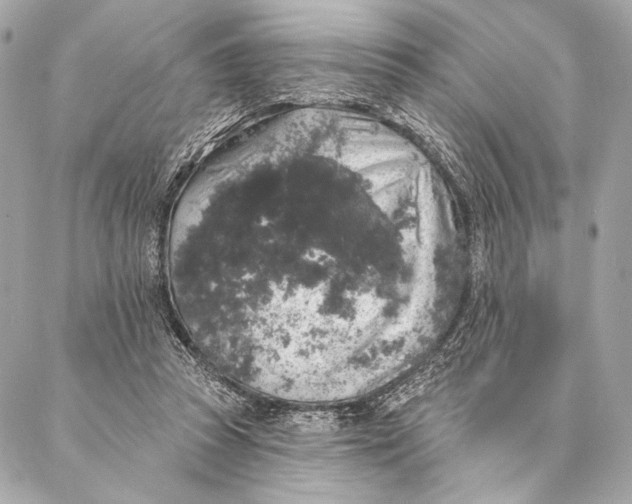 X0000087340353200705111553