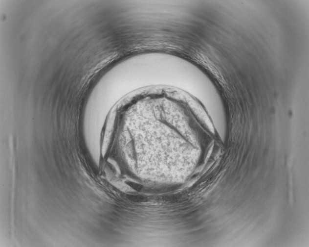 X0000087340356200705111553