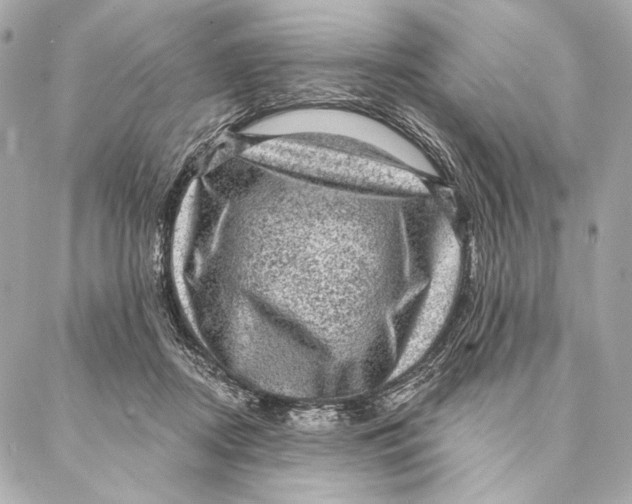 X0000087340362200705111553