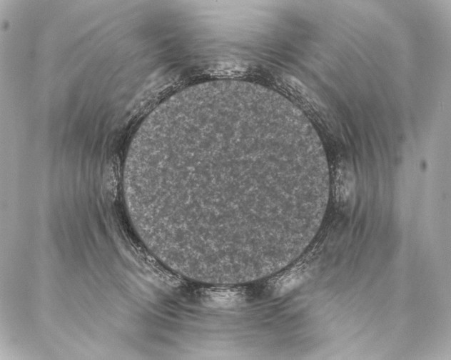 X0000087340370200705111553