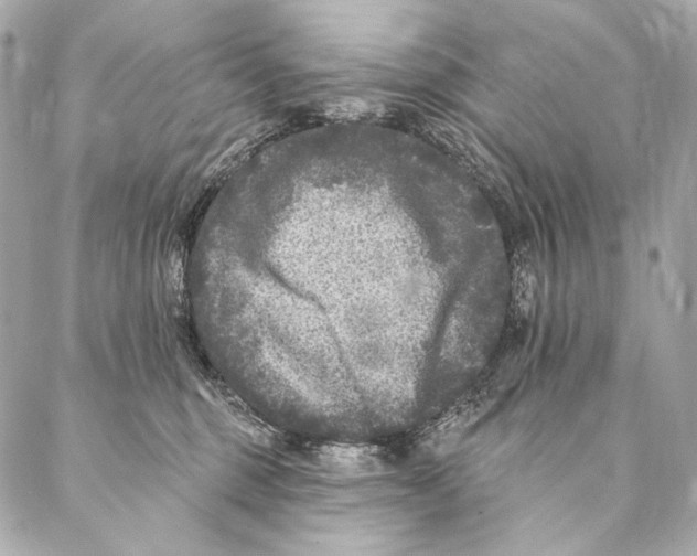 X0000087340375200705111553