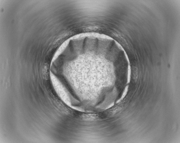 X0000087340378200705111554