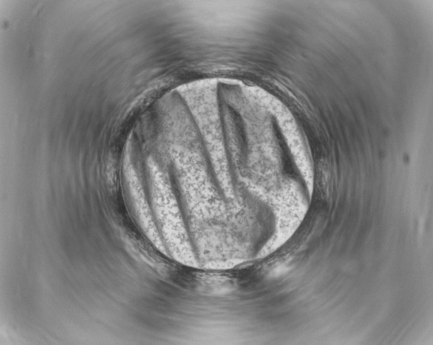 X0000087340380200705111554