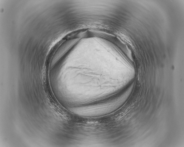 X0000087340388200705111553