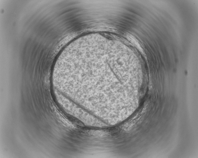 X0000087340389200705111553