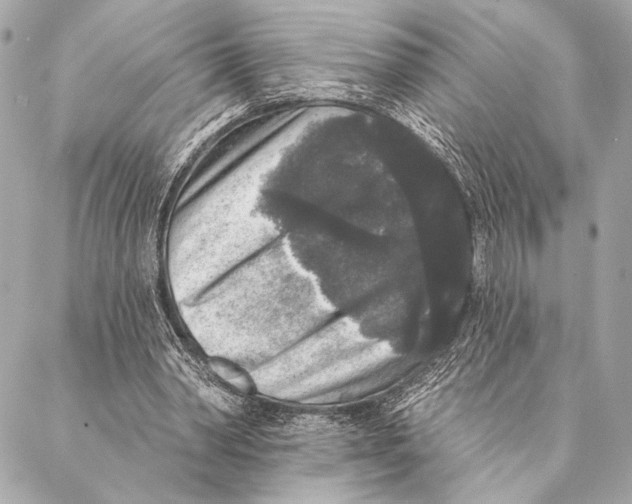 X0000087340390200705111553