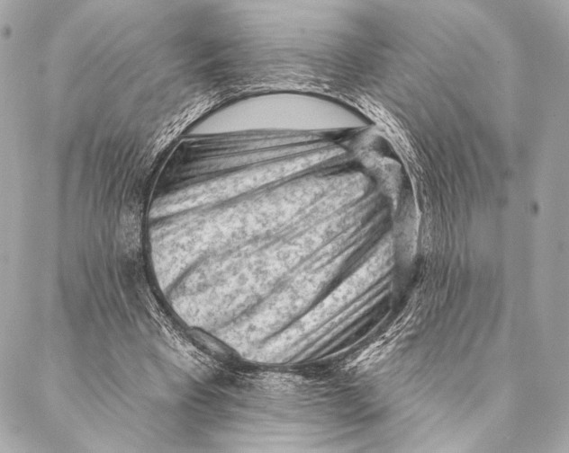 X0000087340393200705111553