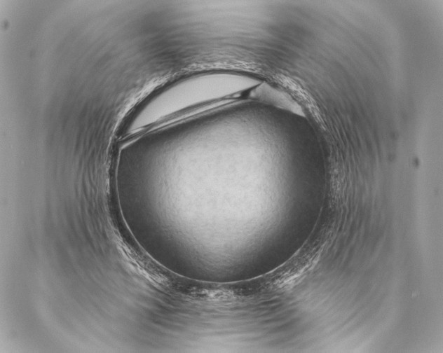 X0000087340395200705111553