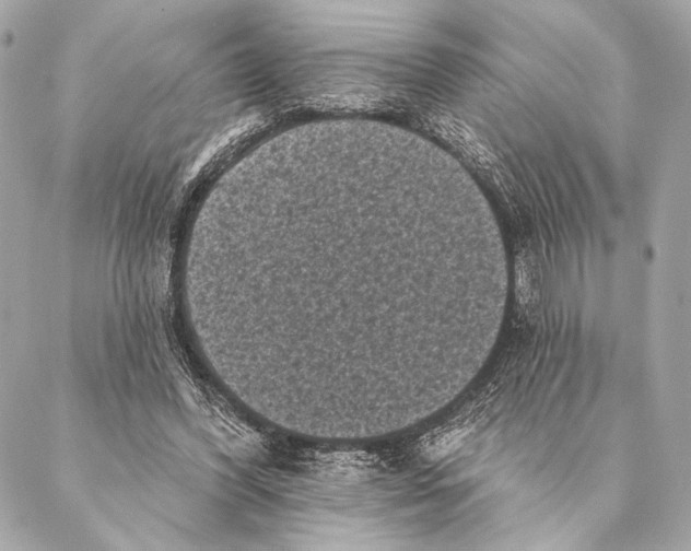 X0000087340396200705111553