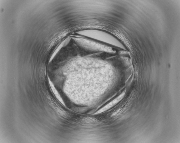 X0000087340397200705111553