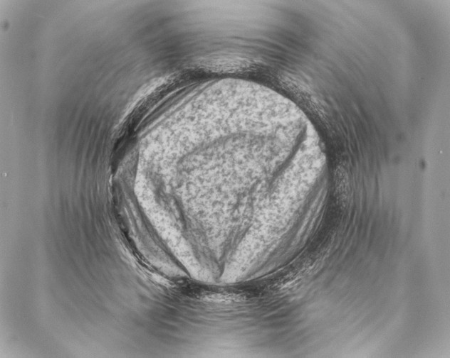 X0000087340400200705111553