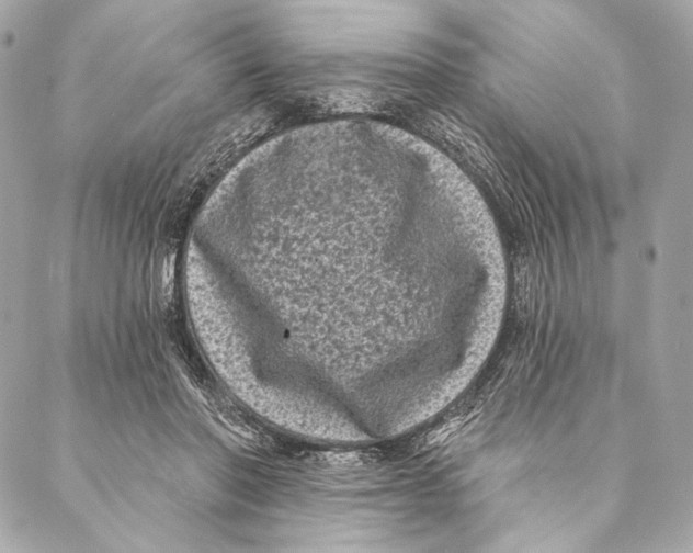 X0000087340406200705111553