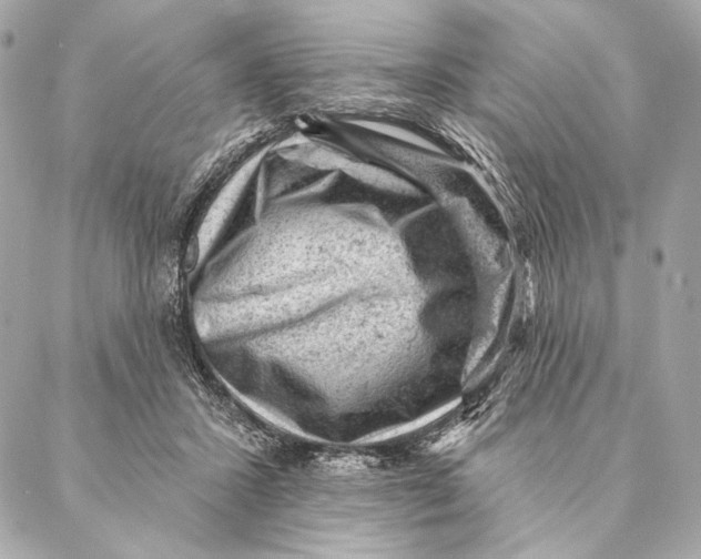 X0000087340407200705111553