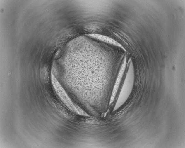 X0000087340420200705111552
